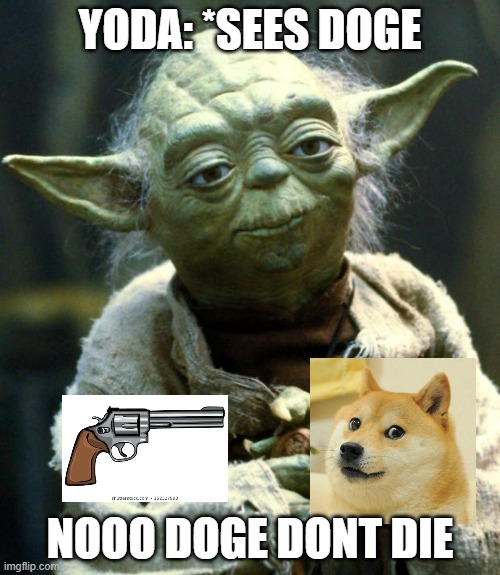 DOGE IS ACUALLY GOOD | YODA: *SEES DOGE; NOOO DOGE DONT DIE | image tagged in memes,star wars yoda | made w/ Imgflip meme maker