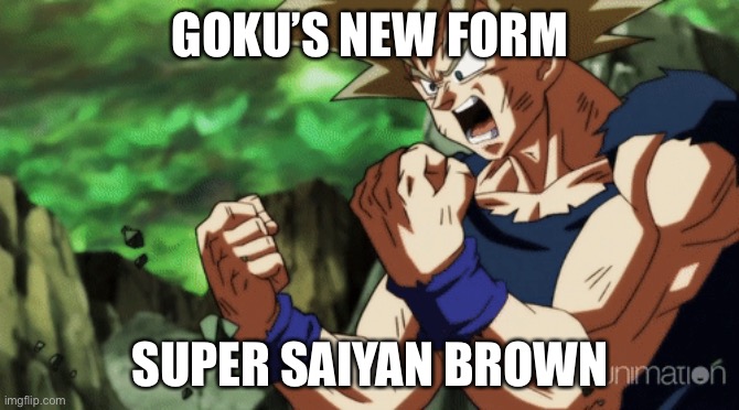 GOKU’S NEW FORM; SUPER SAIYAN BROWN | image tagged in dragon ball z | made w/ Imgflip meme maker