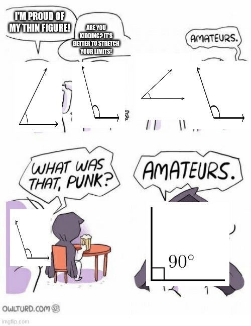 Perfection can be reached, am I right? | I'M PROUD OF MY THIN FIGURE! ARE YOU KIDDING? IT'S BETTER TO STRETCH YOUR LIMITS! | image tagged in amateurs,memes,right angle,acute angle,obtuse angle,math | made w/ Imgflip meme maker