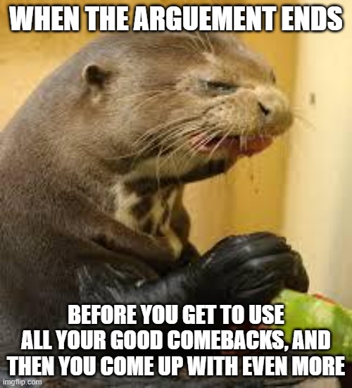 Disgusted Otter | WHEN THE ARGUEMENT ENDS; BEFORE YOU GET TO USE ALL YOUR GOOD COMEBACKS, AND THEN YOU COME UP WITH EVEN MORE | image tagged in disgusted otter | made w/ Imgflip meme maker