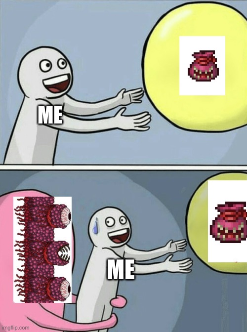 Terraria memes | ME; ME | image tagged in memes,running away balloon | made w/ Imgflip meme maker