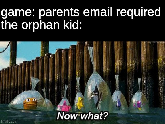 Orphan Gaming | game: parents email required
the orphan kid: | image tagged in now what,gaming,memes,finding nemo,orphan,game | made w/ Imgflip meme maker