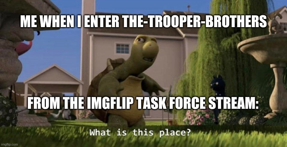 What is this place | ME WHEN I ENTER THE-TROOPER-BROTHERS; FROM THE IMGFLIP TASK FORCE STREAM: | image tagged in what is this place | made w/ Imgflip meme maker