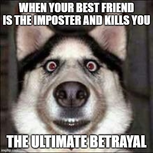 the ultimate betrayal | WHEN YOUR BEST FRIEND IS THE IMPOSTER AND KILLS YOU; THE ULTIMATE BETRAYAL | image tagged in among us | made w/ Imgflip meme maker