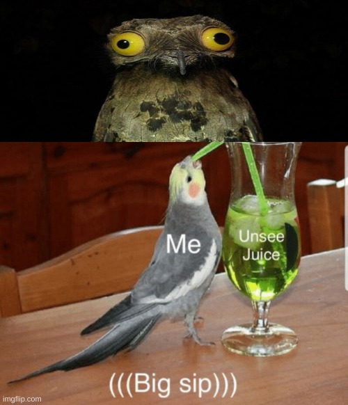 i need that drink NOWWW | image tagged in unsee juice,eww | made w/ Imgflip meme maker