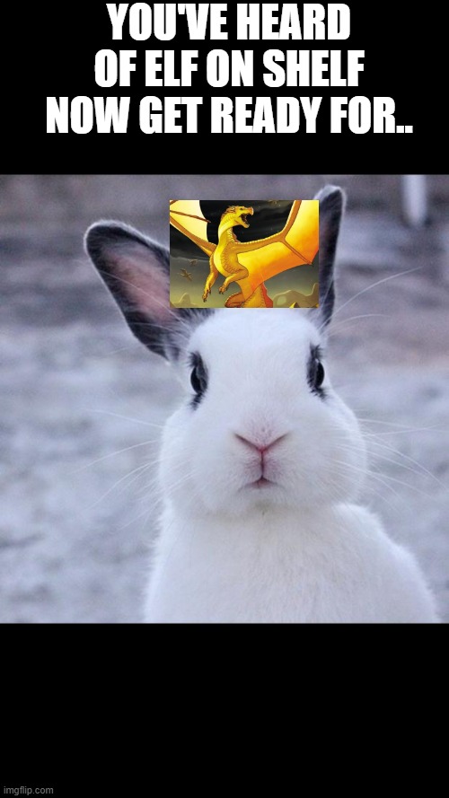 Sunny on a bunny | YOU'VE HEARD OF ELF ON SHELF NOW GET READY FOR.. | image tagged in rabbit | made w/ Imgflip meme maker