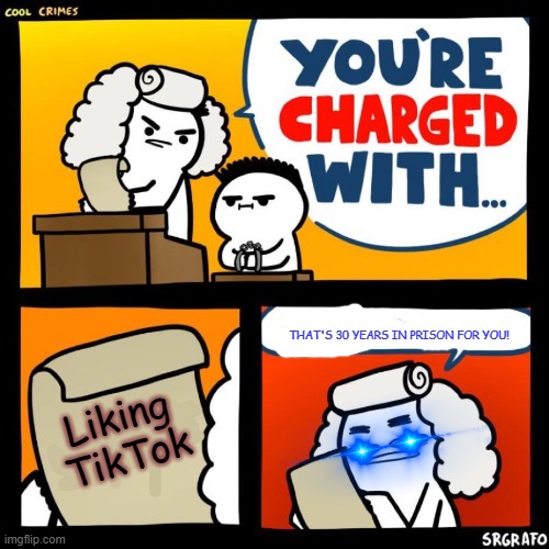 cool crimes | Liking TikTok THAT'S 30 YEARS IN PRISON FOR YOU! | image tagged in cool crimes | made w/ Imgflip meme maker