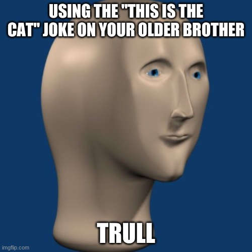 meme man | USING THE "THIS IS THE CAT" JOKE ON YOUR OLDER BROTHER; TRULL | image tagged in meme man | made w/ Imgflip meme maker