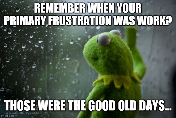 The good old days, before covid, before the election, before the social unrest | REMEMBER WHEN YOUR PRIMARY FRUSTRATION WAS WORK? THOSE WERE THE GOOD OLD DAYS... | image tagged in kermit window,covid-19,election 2020,social unrest | made w/ Imgflip meme maker