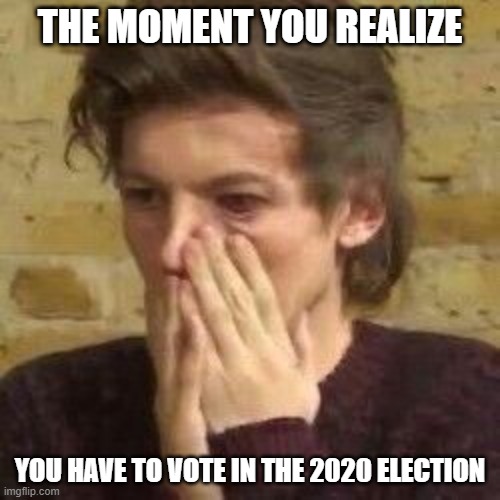 This was actually me tho | THE MOMENT YOU REALIZE; YOU HAVE TO VOTE IN THE 2020 ELECTION | image tagged in oof,scared | made w/ Imgflip meme maker