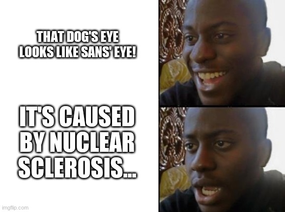 THAT DOG'S EYE LOOKS LIKE SANS' EYE! IT'S CAUSED BY NUCLEAR SCLEROSIS... | image tagged in blank white template,disappointed black guy,sans,dog,sans dog | made w/ Imgflip meme maker
