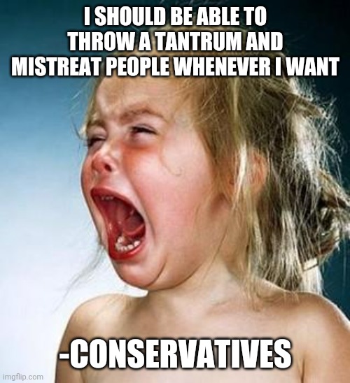 Internet Tantrum | I SHOULD BE ABLE TO THROW A TANTRUM AND MISTREAT PEOPLE WHENEVER I WANT -CONSERVATIVES | image tagged in internet tantrum | made w/ Imgflip meme maker