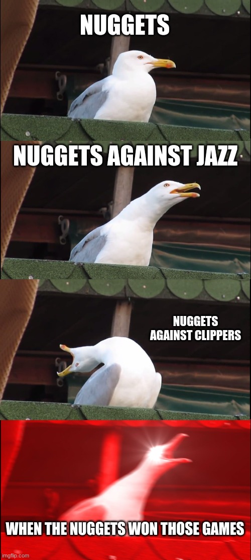 Inhaling Seagull | NUGGETS; NUGGETS AGAINST JAZZ; NUGGETS AGAINST CLIPPERS; WHEN THE NUGGETS WON THOSE GAMES | image tagged in memes,inhaling seagull | made w/ Imgflip meme maker