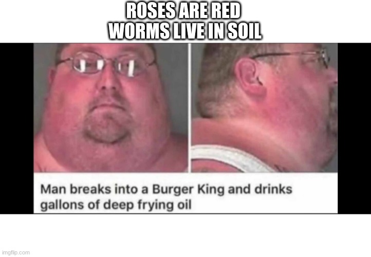 Roses are red | ROSES ARE RED 
WORMS LIVE IN SOIL | image tagged in funny memes | made w/ Imgflip meme maker