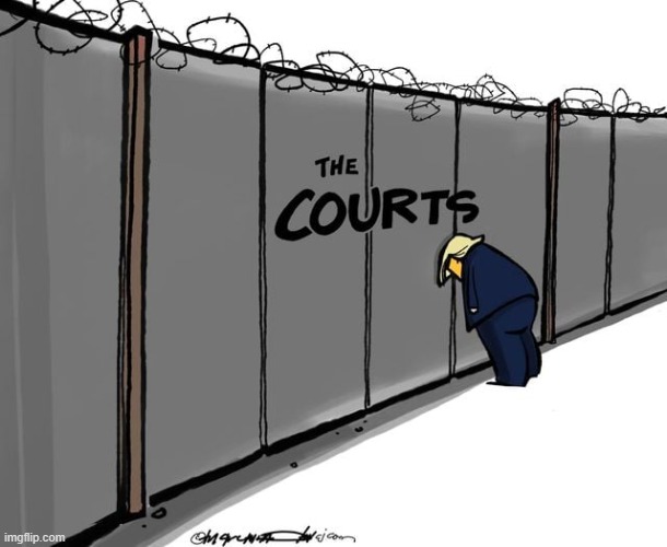 tear down this wall presidnet turmp maga | image tagged in trump the courts,maga,repost,election 2020,voter fraud,election fraud | made w/ Imgflip meme maker