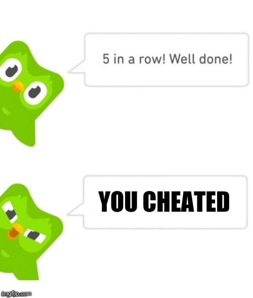Duo gets mad | YOU CHEATED | image tagged in duo gets mad | made w/ Imgflip meme maker