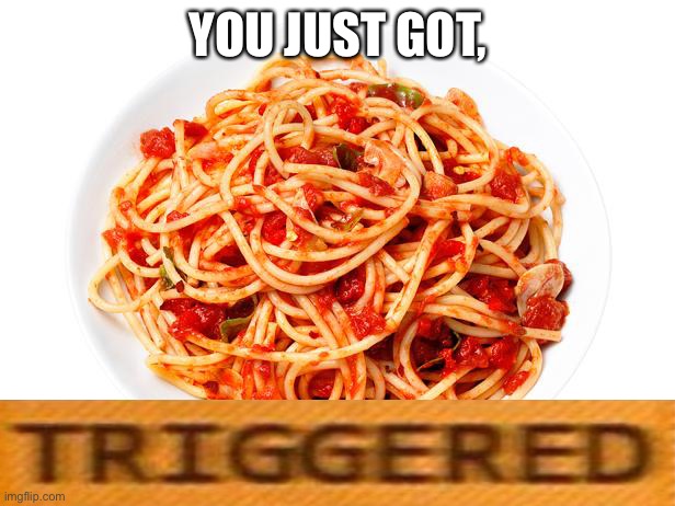 spagetti | YOU JUST GOT, | image tagged in spagetti | made w/ Imgflip meme maker