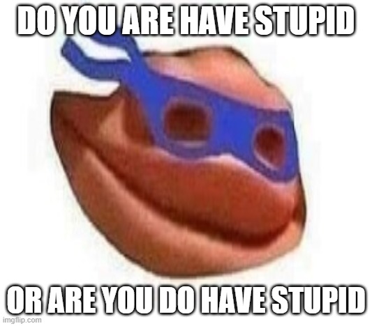 DO YOU ARE HAVE STUPID; OR ARE YOU DO HAVE STUPID | image tagged in funny memes | made w/ Imgflip meme maker