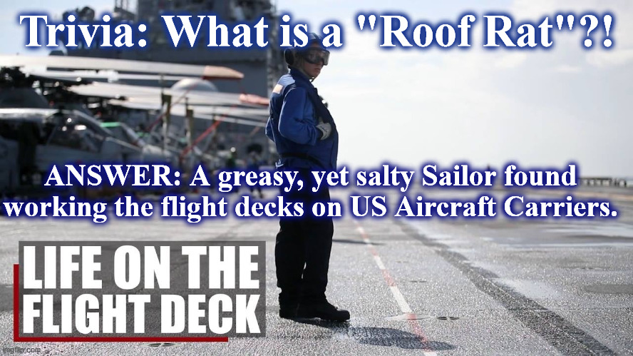 flightdeck | Trivia: What is a "Roof Rat"?! ANSWER: A greasy, yet salty Sailor found working the flight decks on US Aircraft Carriers. | image tagged in flightdeck | made w/ Imgflip meme maker