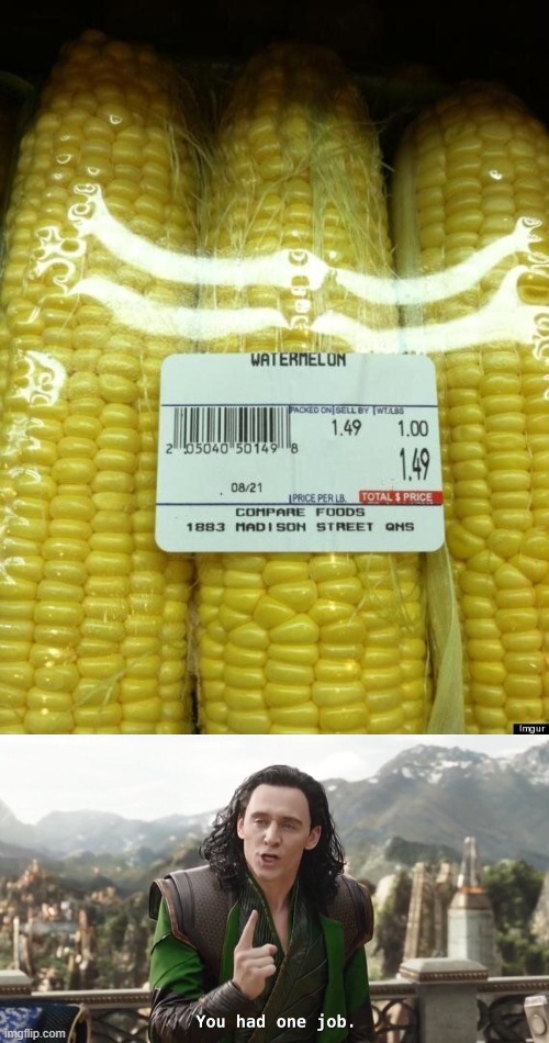 image tagged in you had one job just the one | made w/ Imgflip meme maker