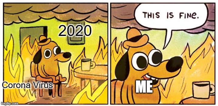 This Is Fine Meme | 2020; ME; Corona Virus | image tagged in memes,this is fine | made w/ Imgflip meme maker