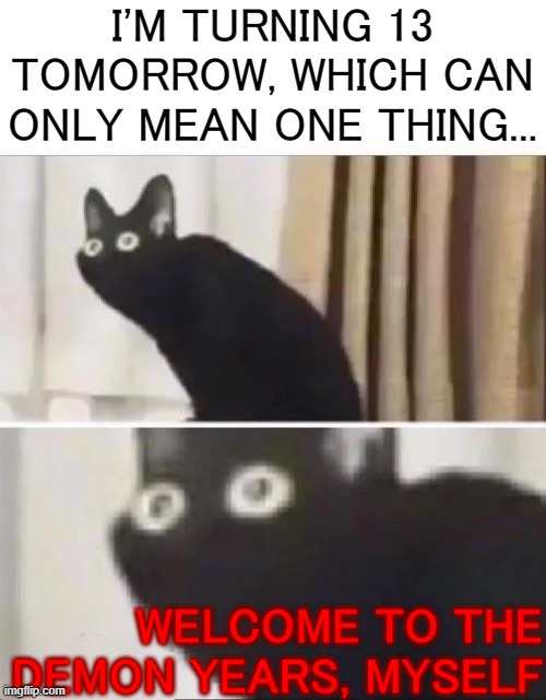 The Demon Years are-a Coming! | I'M TURNING 13 TOMORROW, WHICH CAN ONLY MEAN ONE THING... WELCOME TO THE DEMON YEARS, MYSELF | image tagged in oh no black cat | made w/ Imgflip meme maker
