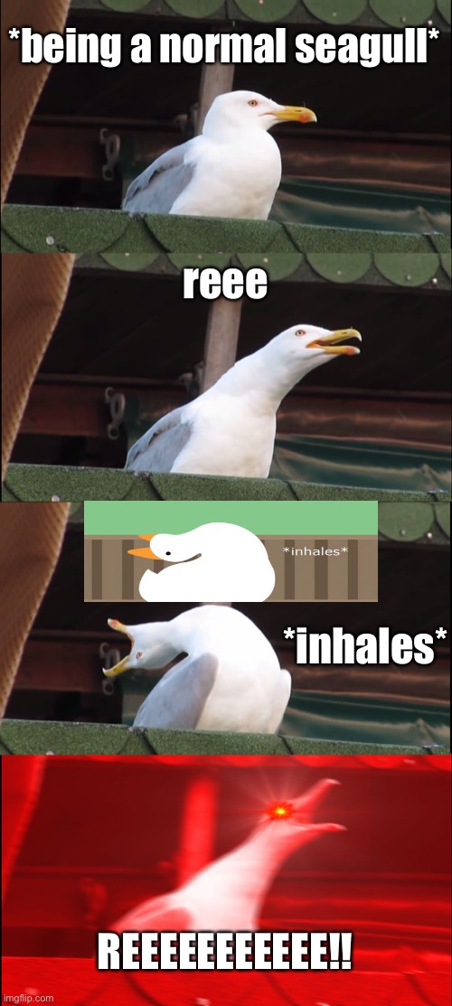 Inhaling Seagull | *being a normal seagull*; reee; *inhales*; REEEEEEEEEEE!! | image tagged in memes,inhaling seagull | made w/ Imgflip meme maker