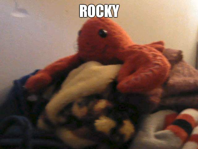ROCKY | made w/ Imgflip meme maker