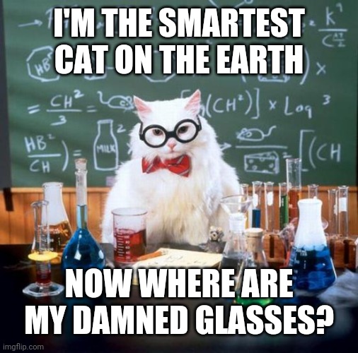 Chemistry Cat | I'M THE SMARTEST CAT ON THE EARTH; NOW WHERE ARE MY DAMNED GLASSES? | image tagged in memes,chemistry cat | made w/ Imgflip meme maker