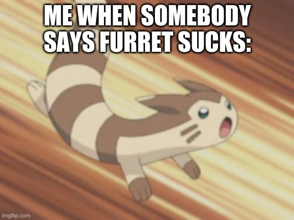 Angry Furret | ME WHEN SOMEBODY SAYS FURRET SUCKS: | image tagged in angry furret | made w/ Imgflip meme maker