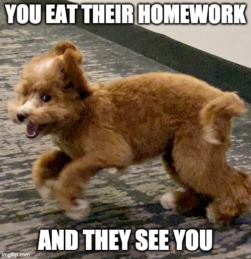 A Puppy Meme | YOU EAT THEIR HOMEWORK; AND THEY SEE YOU | image tagged in cute puppy,dog memes | made w/ Imgflip meme maker
