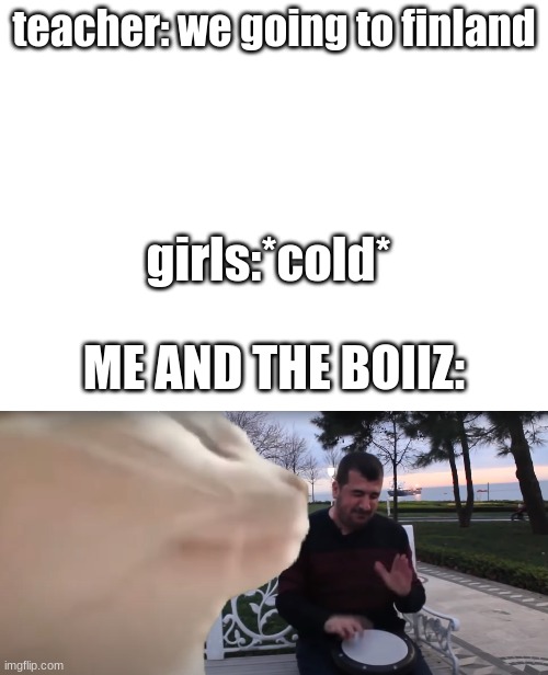 Ievan Polkka | teacher: we going to finland; girls:*cold*; ME AND THE BOIIZ: | image tagged in blank white template,cat vibing to ievan polkka cat meme vibing music | made w/ Imgflip meme maker