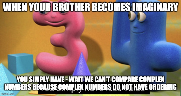 You simply have less value | WHEN YOUR BROTHER BECOMES IMAGINARY YOU SIMPLY HAVE - WAIT WE CAN'T COMPARE COMPLEX NUMBERS BECAUSE COMPLEX NUMBERS DO NOT HAVE ORDERING | image tagged in you simply have less value | made w/ Imgflip meme maker