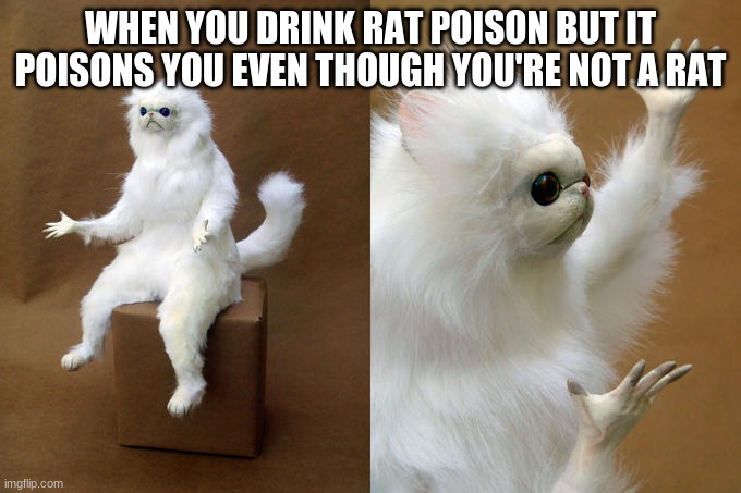 huh | WHEN YOU DRINK RAT POISON BUT IT POISONS YOU EVEN THOUGH YOU'RE NOT A RAT | image tagged in memes,persian cat room guardian | made w/ Imgflip meme maker