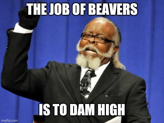 Too Damn High Meme | THE JOB OF BEAVERS; IS TO DAM HIGH | image tagged in memes,too damn high | made w/ Imgflip meme maker