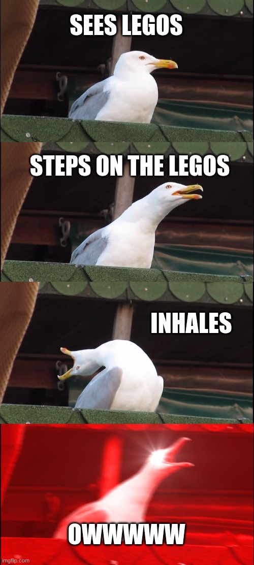 Stupid legos | SEES LEGOS; STEPS ON THE LEGOS; INHALES; OWWWWW | image tagged in memes,inhaling seagull | made w/ Imgflip meme maker