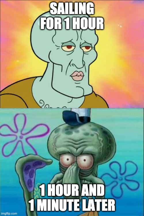 Squidward | SAILING FOR 1 HOUR; 1 HOUR AND 1 MINUTE LATER | image tagged in memes,squidward | made w/ Imgflip meme maker