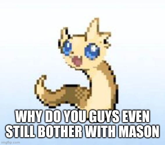 WHY DO YOU GUYS EVEN STILL BOTHER WITH MASON | made w/ Imgflip meme maker