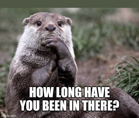 Questioning Otter | HOW LONG HAVE YOU BEEN IN THERE? | image tagged in questioning otter | made w/ Imgflip meme maker