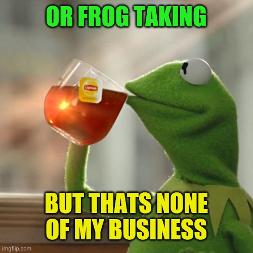 But That's None Of My Business Meme | OR FROG TAKING BUT THATS NONE OF MY BUSINESS | image tagged in memes,but that's none of my business,kermit the frog | made w/ Imgflip meme maker