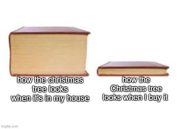 Big Book and Small Book |  how the Christmas tree looks when I buy it; how the christmas tree looks when it's in my house | image tagged in big book and small book | made w/ Imgflip meme maker