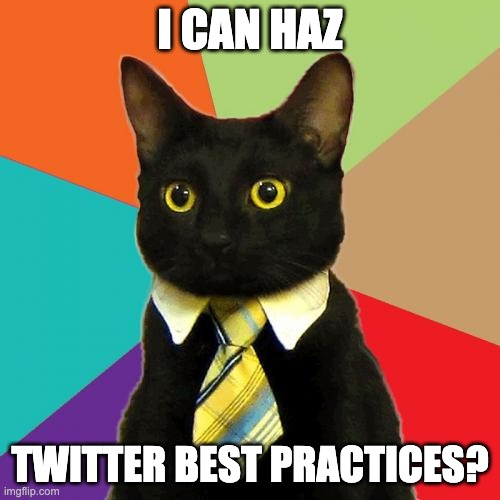 Business Cat | I CAN HAZ; TWITTER BEST PRACTICES? | image tagged in memes,business cat | made w/ Imgflip meme maker