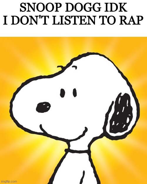 SNOOP DOGG IDK I DON'T LISTEN TO RAP | image tagged in snoop dogg,snoopy | made w/ Imgflip meme maker