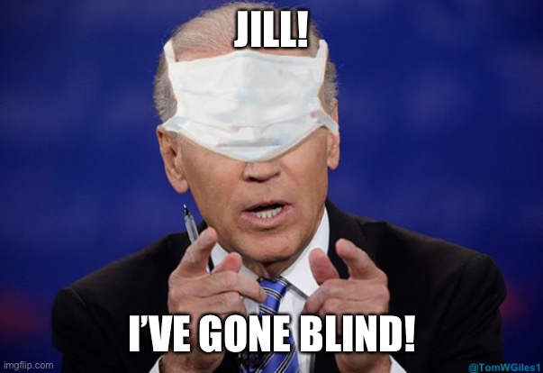 Joe biden covid mask | JILL! I’VE GONE BLIND! | image tagged in joe biden covid mask | made w/ Imgflip meme maker