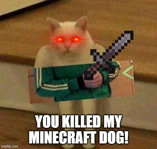 hah | YOU KILLED MY MINECRAFT DOG! | image tagged in cursedcat | made w/ Imgflip meme maker