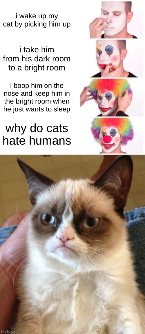 why do cats hate humans? | i wake up my cat by picking him up; i take him from his dark room to a bright room; i boop him on the nose and keep him in the bright room when he just wants to sleep; why do cats hate humans | image tagged in memes,clown applying makeup,grumpy cat | made w/ Imgflip meme maker