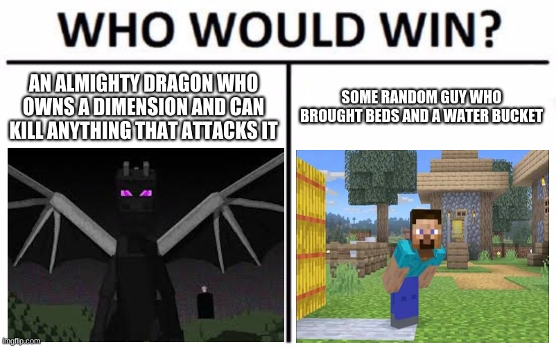 1v1 of the century | AN ALMIGHTY DRAGON WHO OWNS A DIMENSION AND CAN KILL ANYTHING THAT ATTACKS IT; SOME RANDOM GUY WHO BROUGHT BEDS AND A WATER BUCKET | image tagged in memes,who would win,minecraft | made w/ Imgflip meme maker