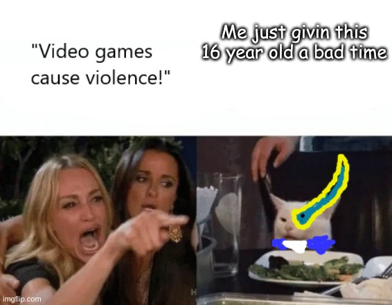 Video Games Cause Violence | Me just givin this 16 year old a bad time | image tagged in video games cause violence | made w/ Imgflip meme maker