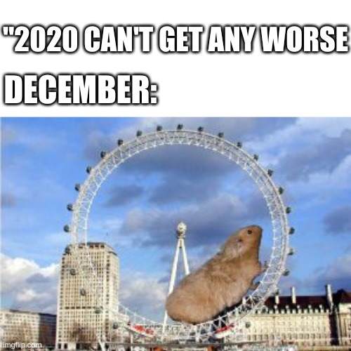the end is near | "2020 CAN'T GET ANY WORSE; DECEMBER: | image tagged in giant hamster wheel | made w/ Imgflip meme maker