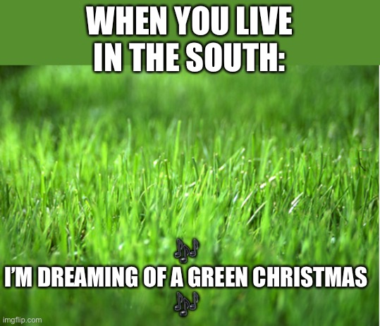 This is true :) |  WHEN YOU LIVE IN THE SOUTH:; 🎶 
I’M DREAMING OF A GREEN CHRISTMAS 
🎶 | image tagged in grass is greener,memes,funny,true,christmas,no snow | made w/ Imgflip meme maker